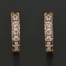 Позолоченные серьги  XP 2892