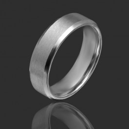 Стальное  кольцо 182