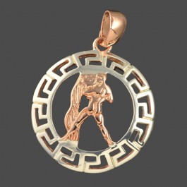 Позолоченный кулон Fallon 96100046-водолей