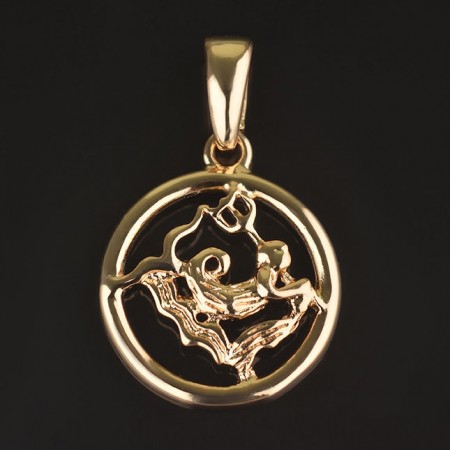 Позолоченный кулон Fallon 86100067-водолей фото | Brulik