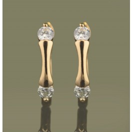 Позолоченные серьги  XP 2418