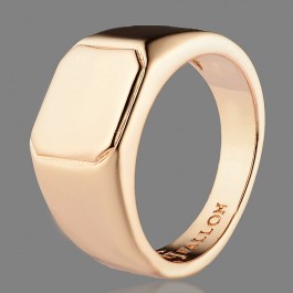 Позолоченное кольцо печатка Fallon 83100211