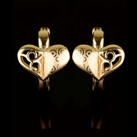 Позолоченные серьги XP 2749 фото | Brulik