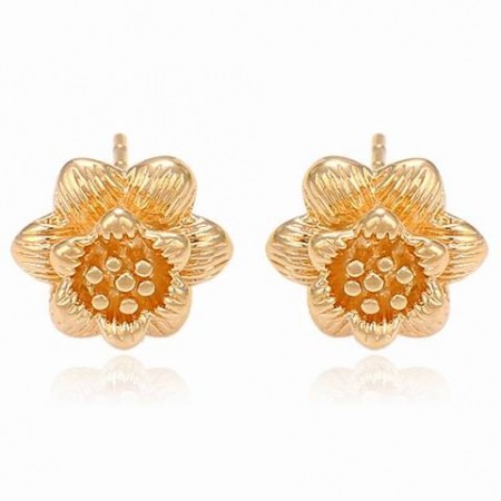 29684 фото | Brulik