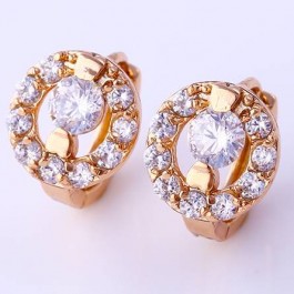 Невероятные сережки 25037