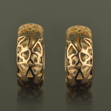 Позолоченные серьги XP 2740 фото | Brulik