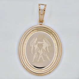 31970-близнецы