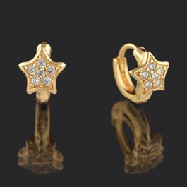 Позолоченые серьги XP 9575