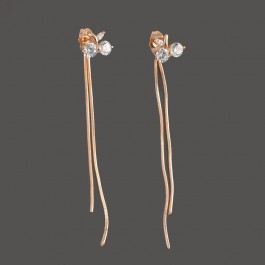 Позолоченные серьги  XP 9965