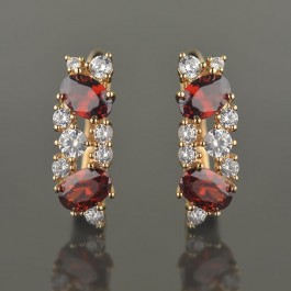 Позолоченные серьги XP 2059 - красный