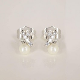 Нежные сережки гвоздики  2293