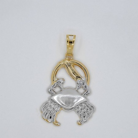 31978 - рак фото | Brulik