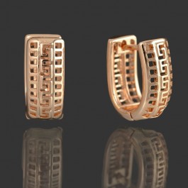 Позолоченные серьги XP 9853