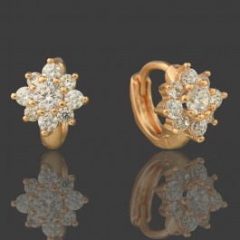 Позолоченные серьги  XP 20254