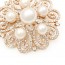 Брошь с жемчужинами 6736 фото | Brulik
