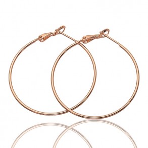 Позолочені сережки-кільця Fallon 82100099  фото | Brulik