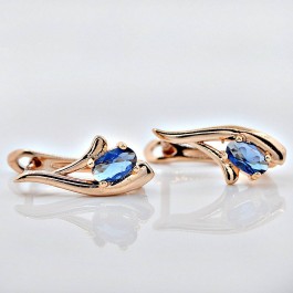 Сережки 