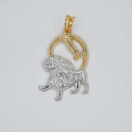 31978 - лев фото | Brulik