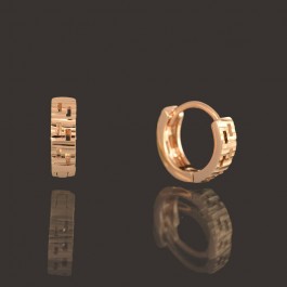 Позолоченные серьги  XP 9934