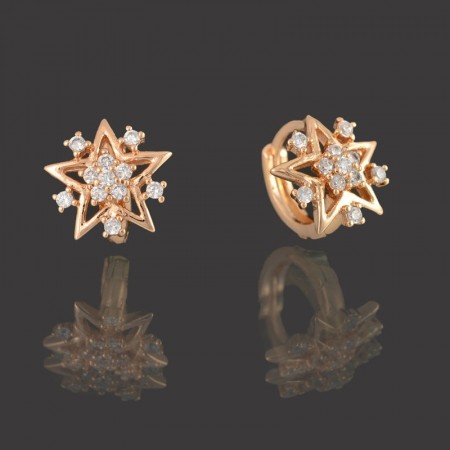 Позолоченные серьги XP 9988 фото | Brulik