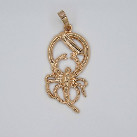 31750 - скорпион фото | Brulik