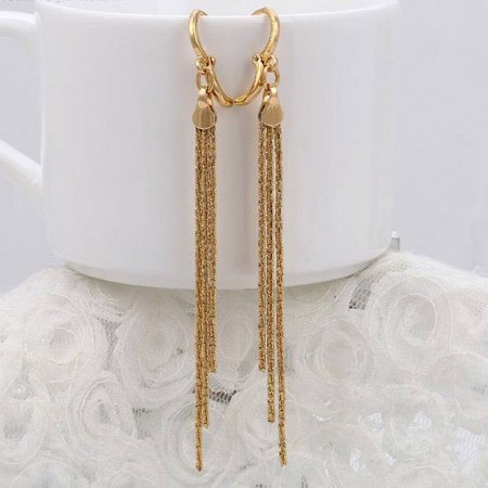 29351 фото | Brulik