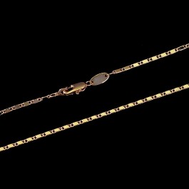 Позолоченная цепочка Fallon 84100008-48