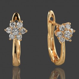 Позолоченные серьги  XP 20192