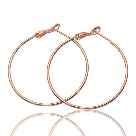 Позолочені сережки-кільця Fallon 82100098 фото | Brulik