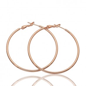 Позолочені сережки кільця Fallon 82100097 фото | Brulik