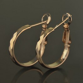 Позолоченные серьги кольца Fallon 82100343