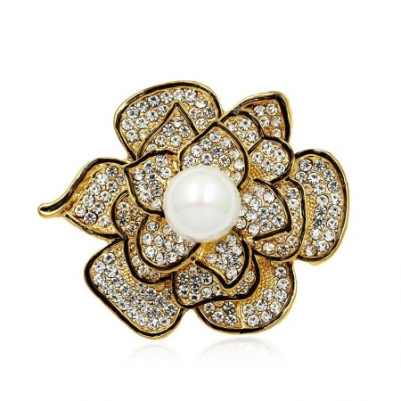 Прекрасная брошь 1127 фото | Brulik