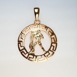 Позолоченный кулон Fallon 86100046-водолей